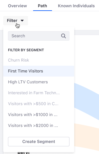 The path analysis data can be filtered by segments