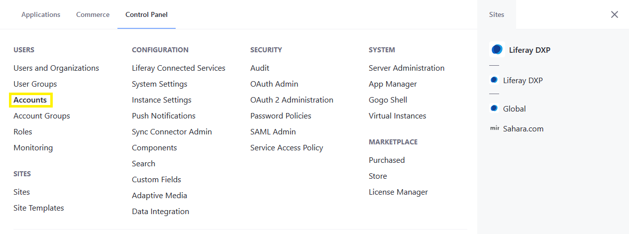 Navigate to Accounts in the Control Panel.