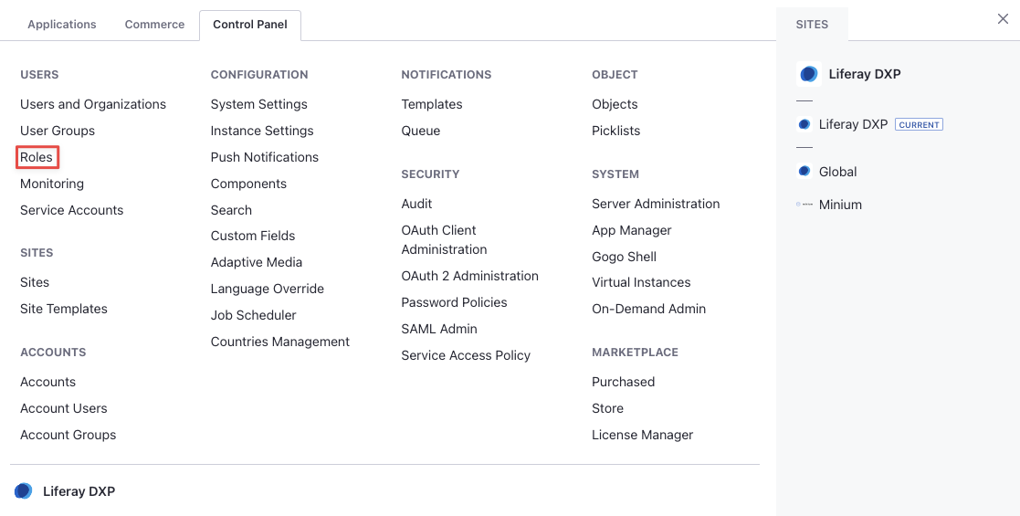 Click on Roles in the Control Panel.