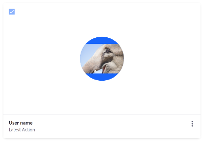 A User Card can also display a profile image.