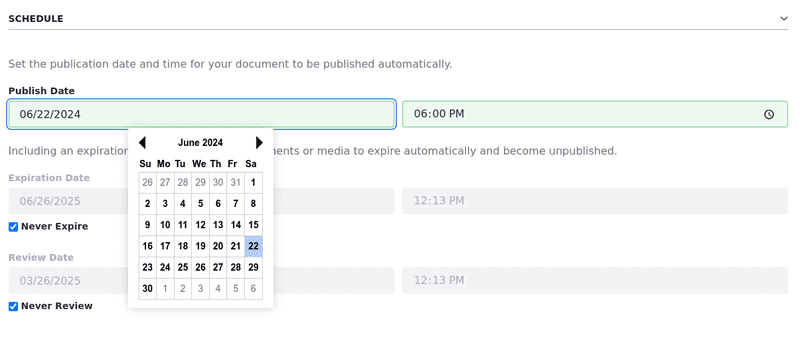 Select a publish date and time when uploading a single file.