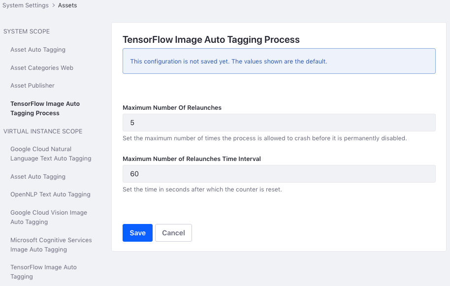 You can fine tune the process that runs the TensorFlow image auto tagging in the portal.