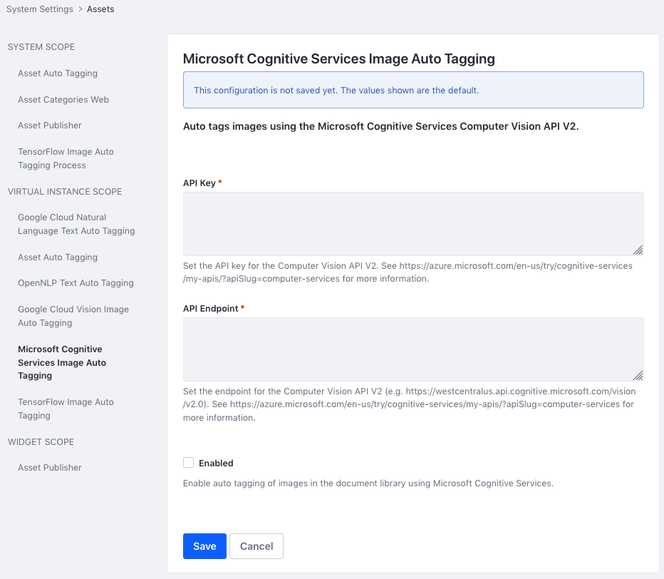 The Microsoft Cognitive Services provider requires an API key and an endpoint.