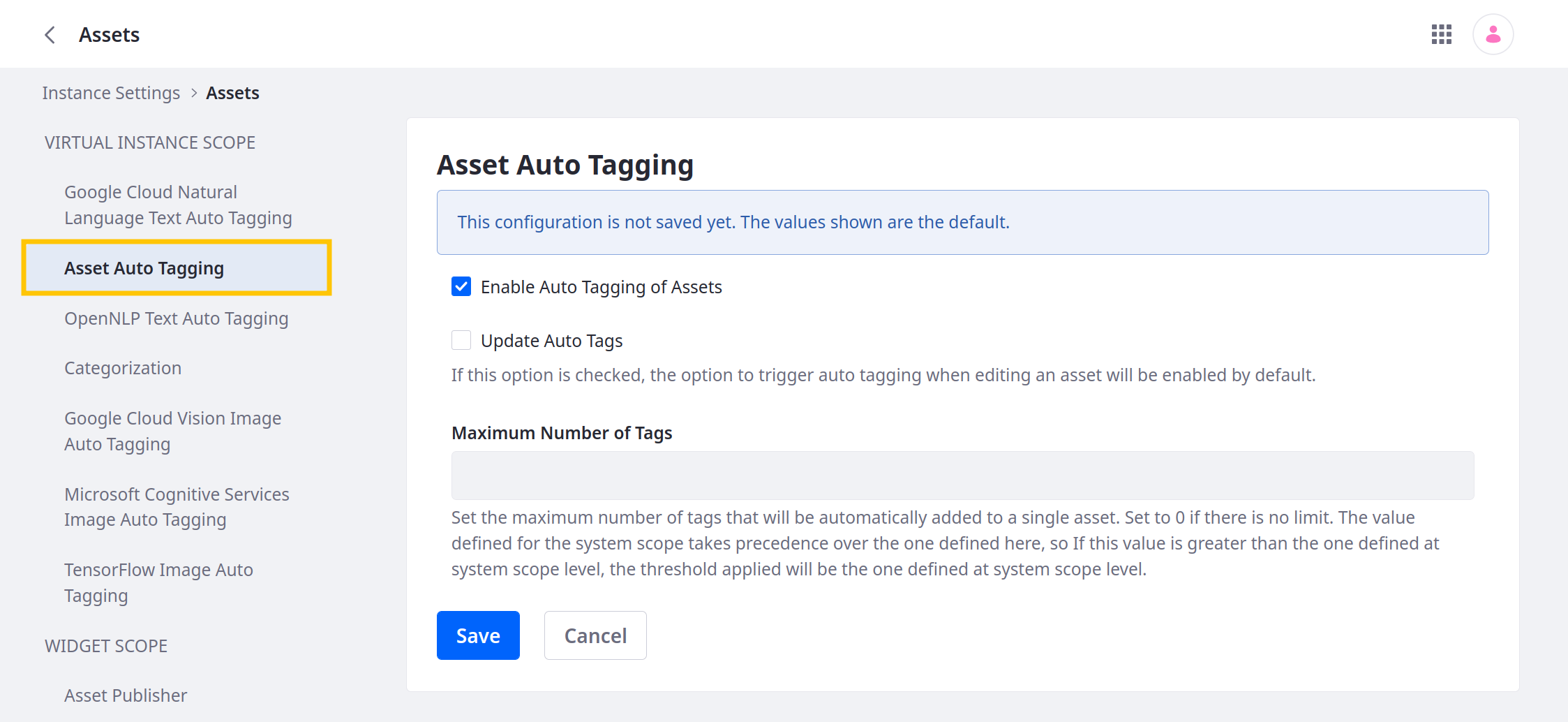 In Instance Settings, click Assets and go to the Asset Auto Tagging tab under Virtual Instance Scope.