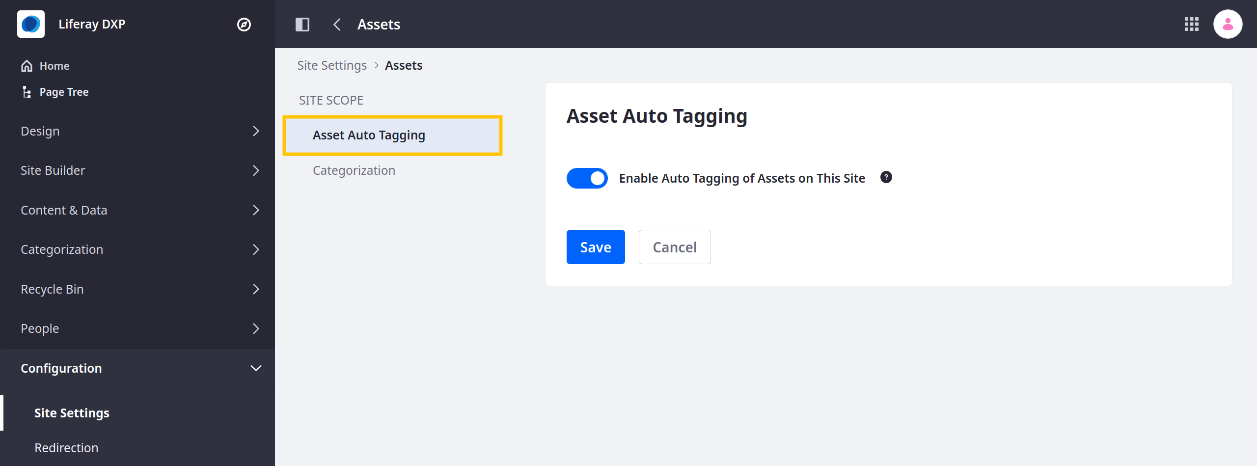 Go to Assets under Content and Data and click the Asset Auto Tagging tab.