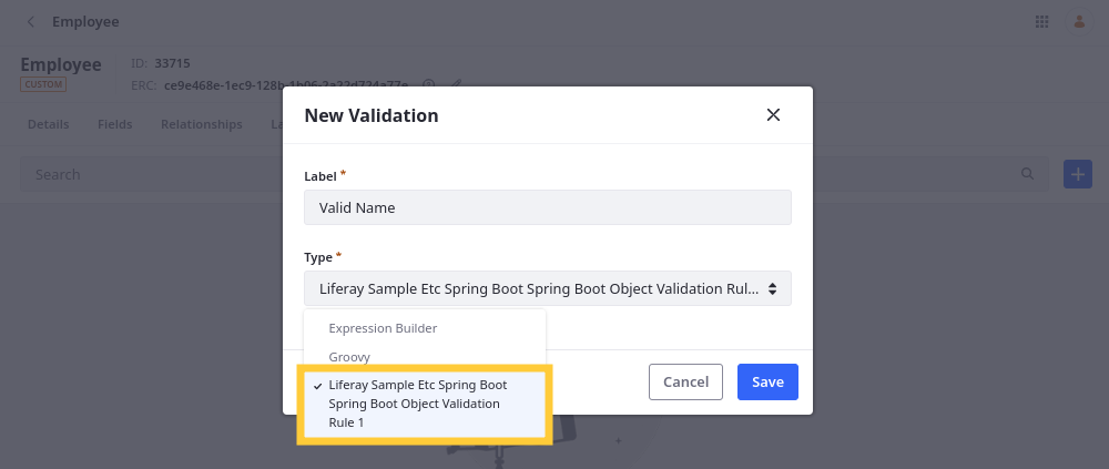 These client extensions appear as options when adding validations to an object definition.