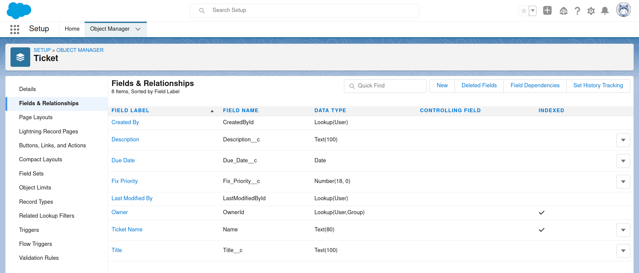 Ensure the custom Salesforce object includes all desired fields