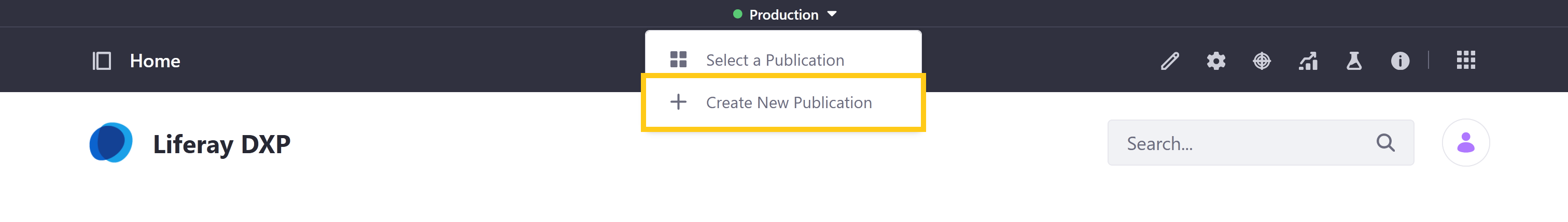 Click Create New Publication in the Publications drop-down menu.