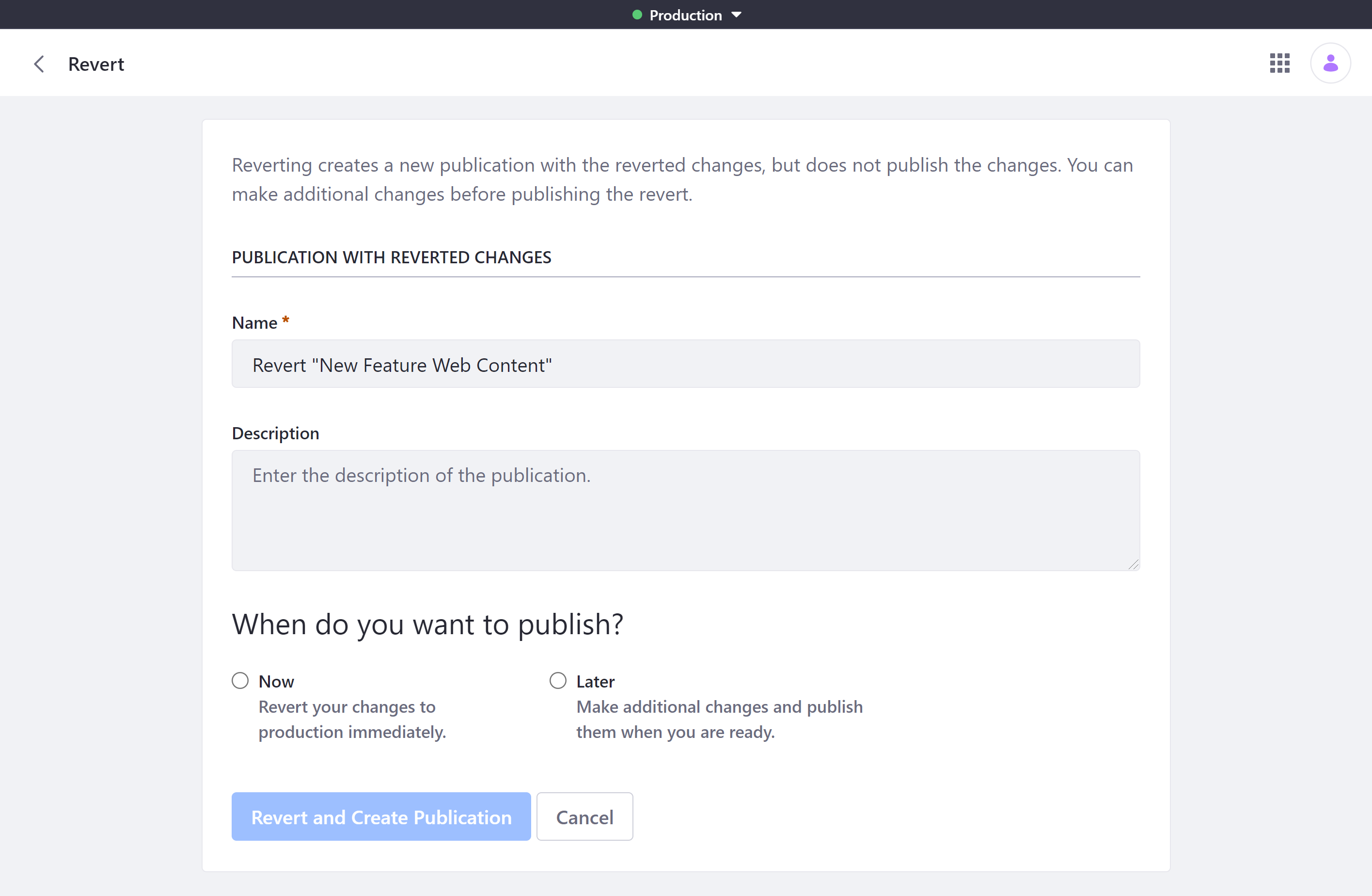 Enter a name and description for the publication, and determine when you want to publish it.