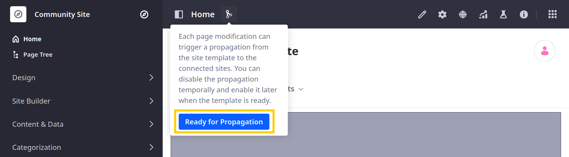 Propagationが無効になっている場合は、Ready for Propagationをクリックします。