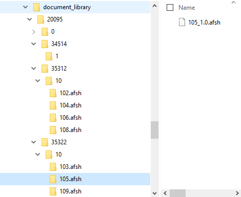 Advanced File System Store folder structure