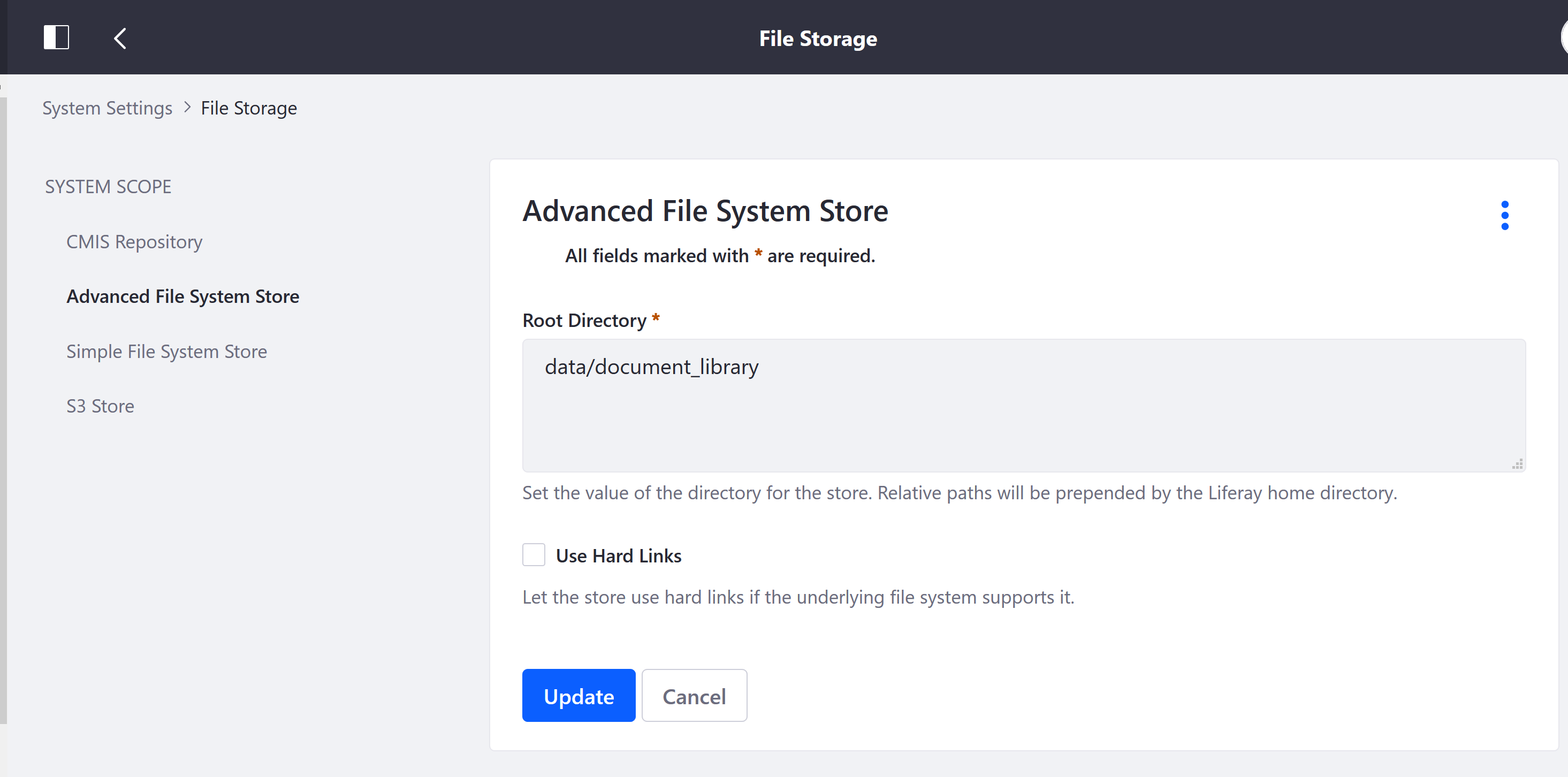 Advanced File System Store screen