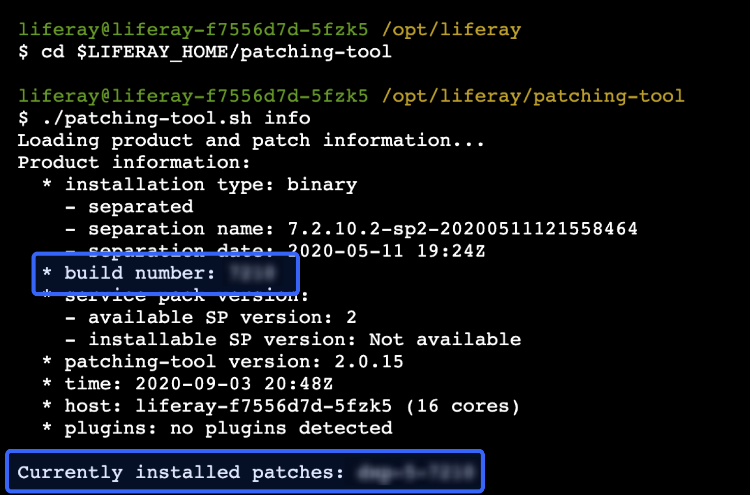 The patching tool displays the relevant information you need to configure the Liferay service.